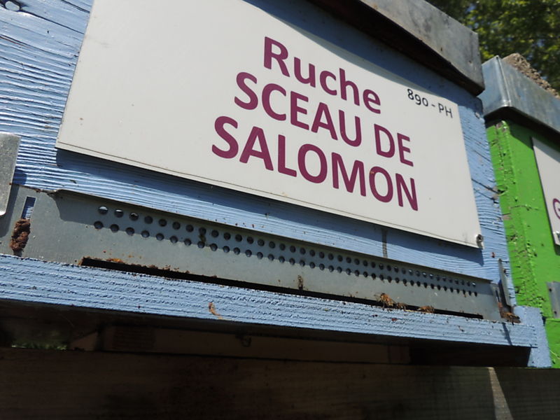 La ruche Sceau de salomon