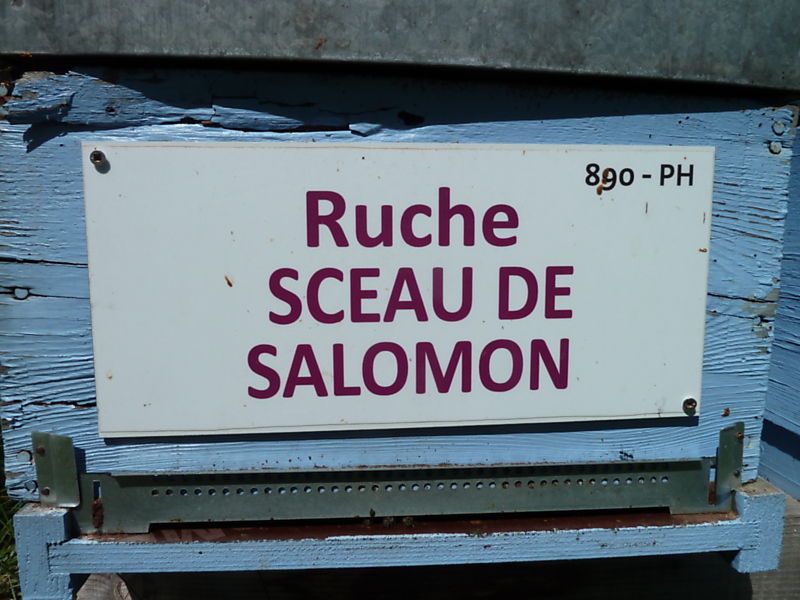 La ruche Sceau de salomon