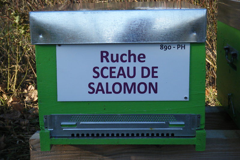 La ruche Sceau de salomon