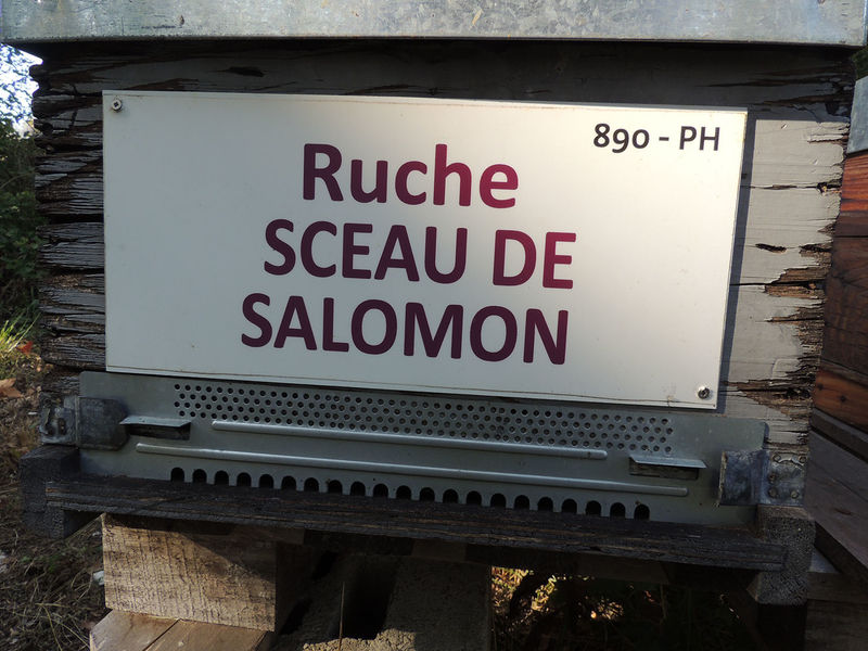 La ruche Sceau de salomon