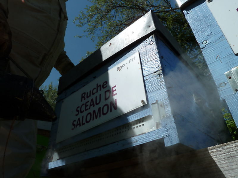 La ruche Sceau de salomon
