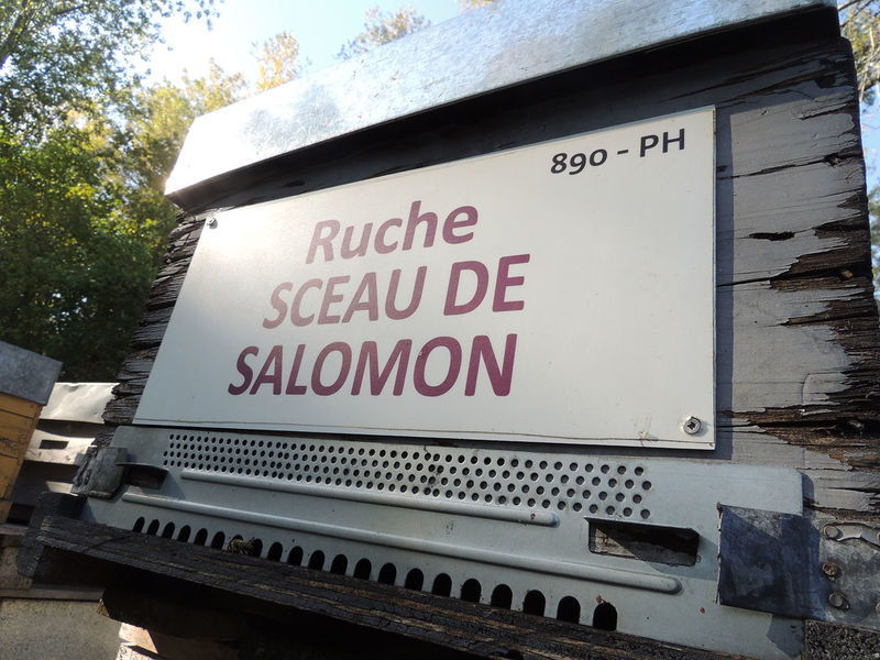 La ruche Sceau de salomon
