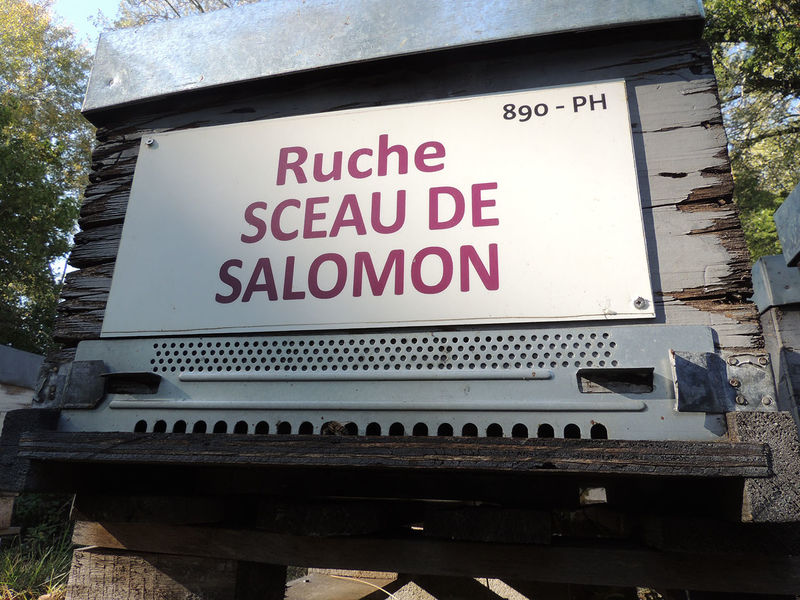 La ruche Sceau de salomon