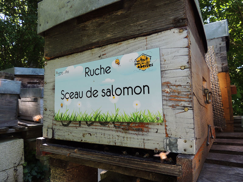 La ruche Sceau de salomon