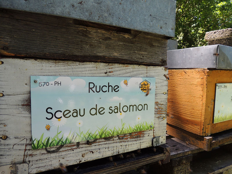 La ruche Sceau de salomon
