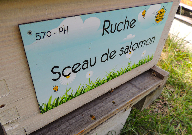 La ruche Sceau de salomon