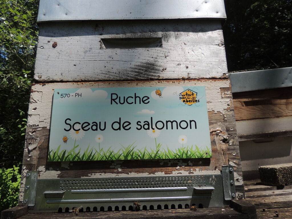 La ruche Sceau de salomon