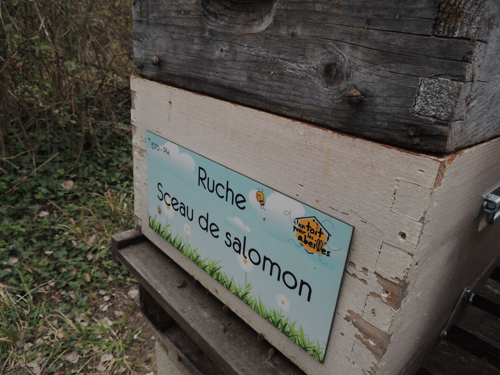 La ruche Sceau de salomon
