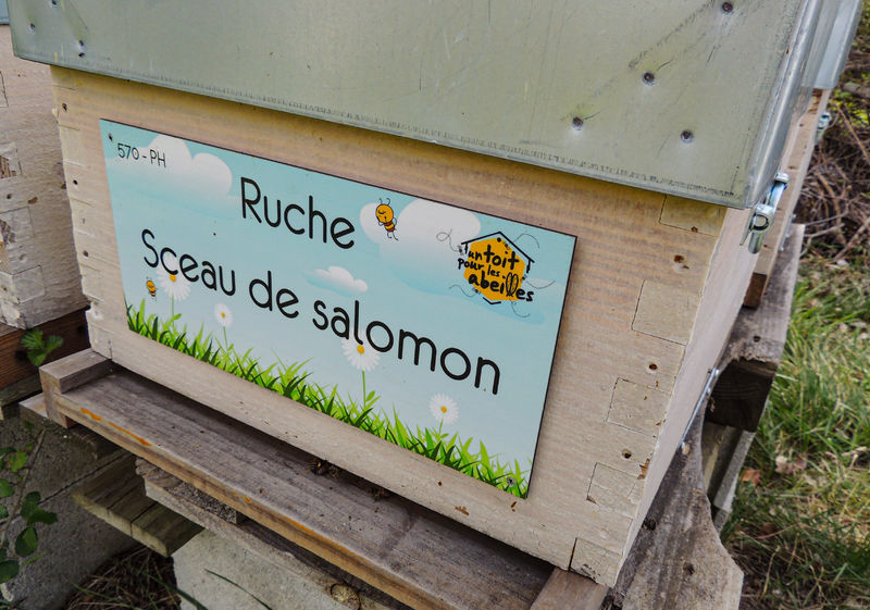 La ruche Sceau de salomon