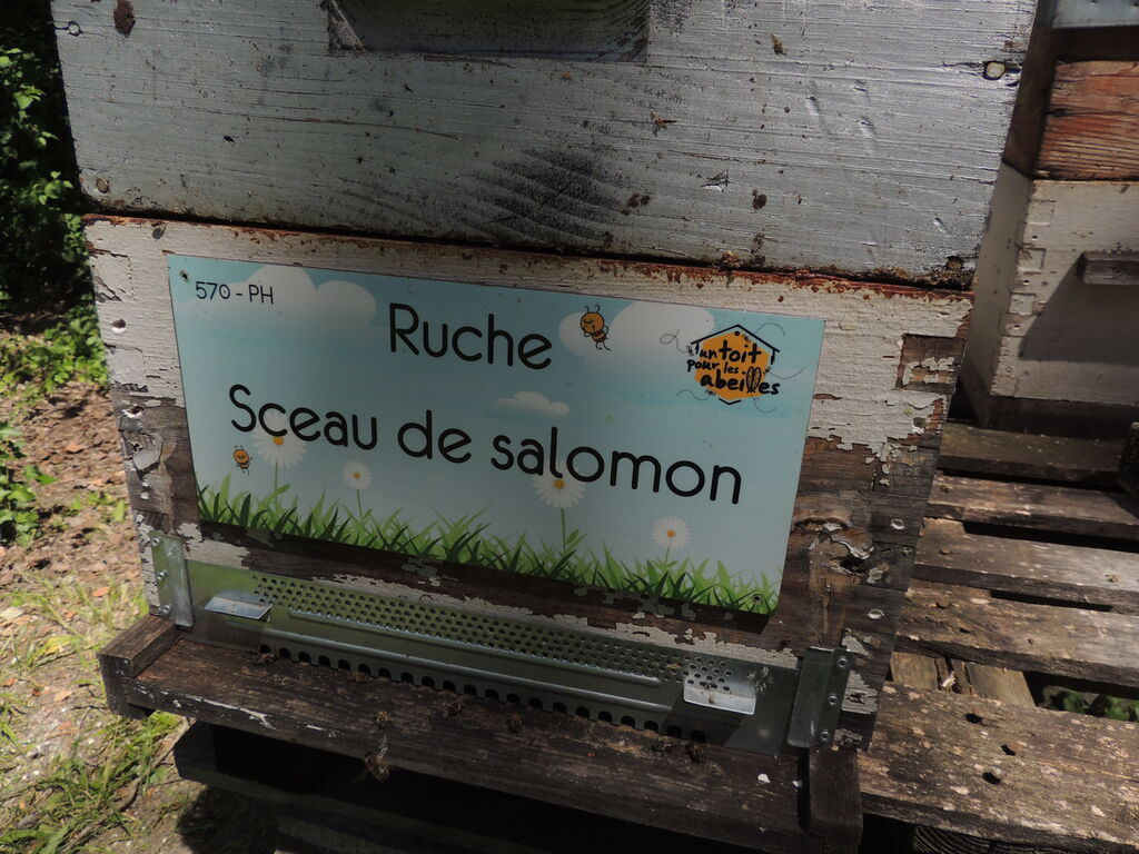 La ruche Sceau de salomon