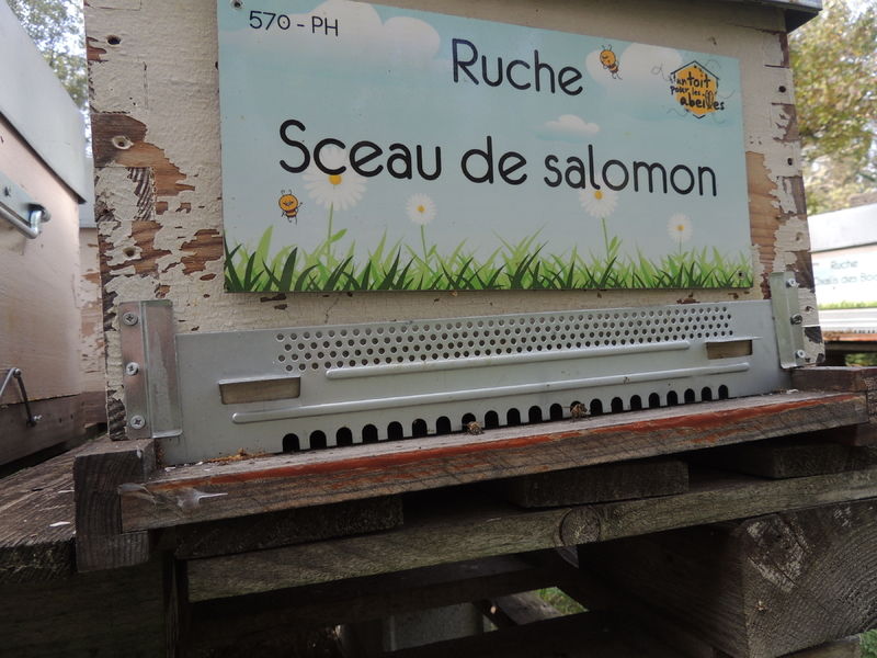 La ruche Sceau de salomon