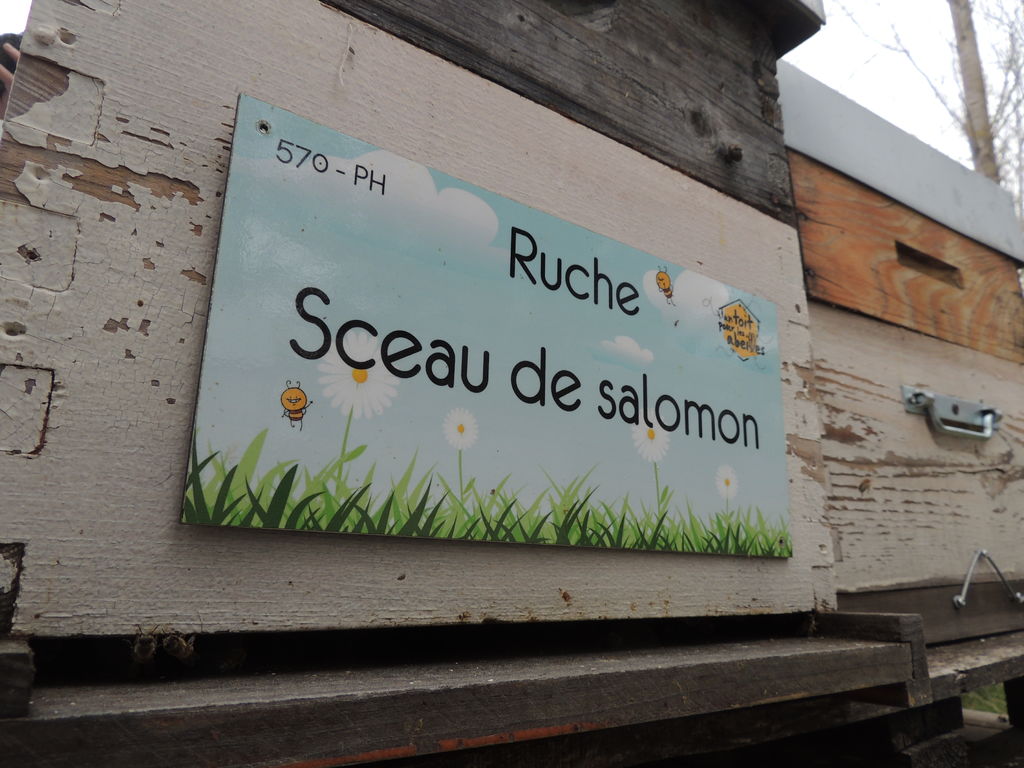 La ruche