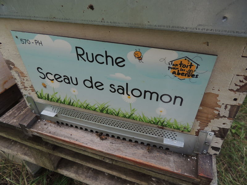 La ruche Sceau de salomon