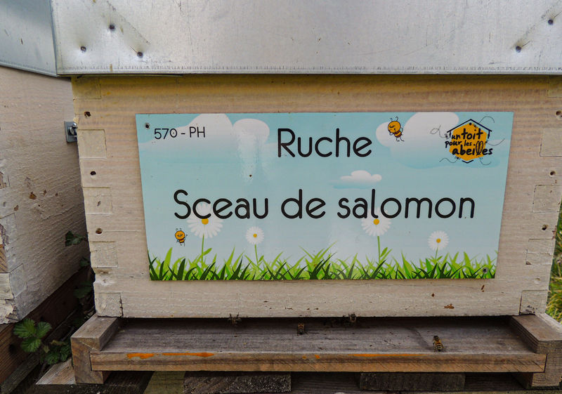 La ruche Sceau de salomon