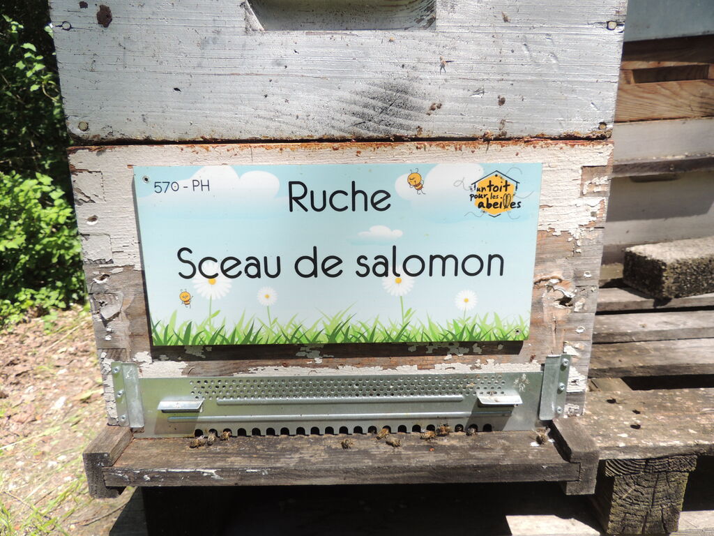 La ruche Sceau de salomon
