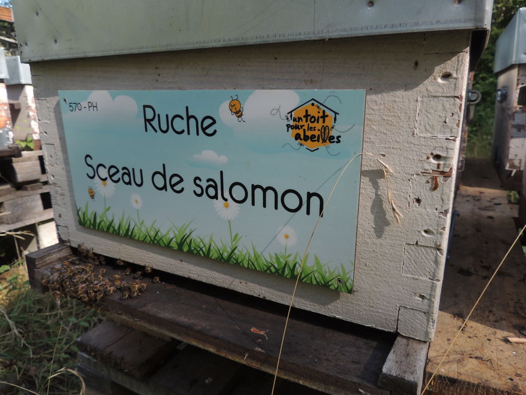 La ruche Sceau de salomon