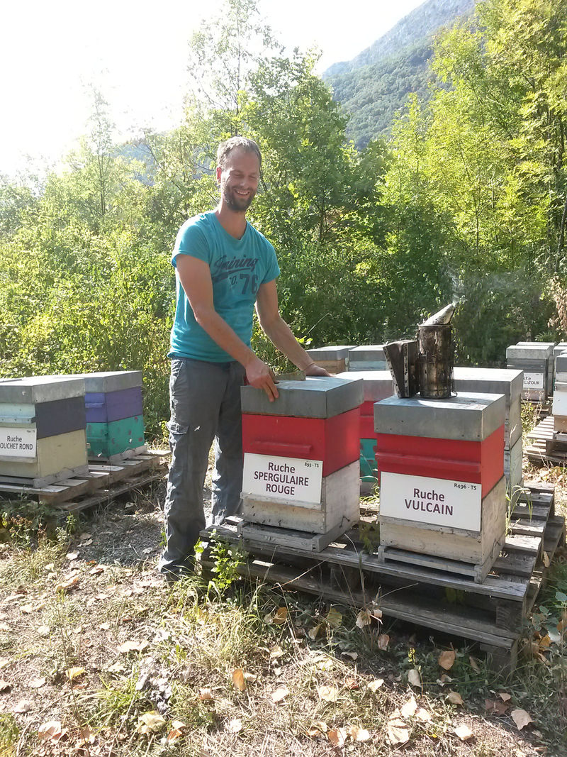 La ruche Spergulaire rouge