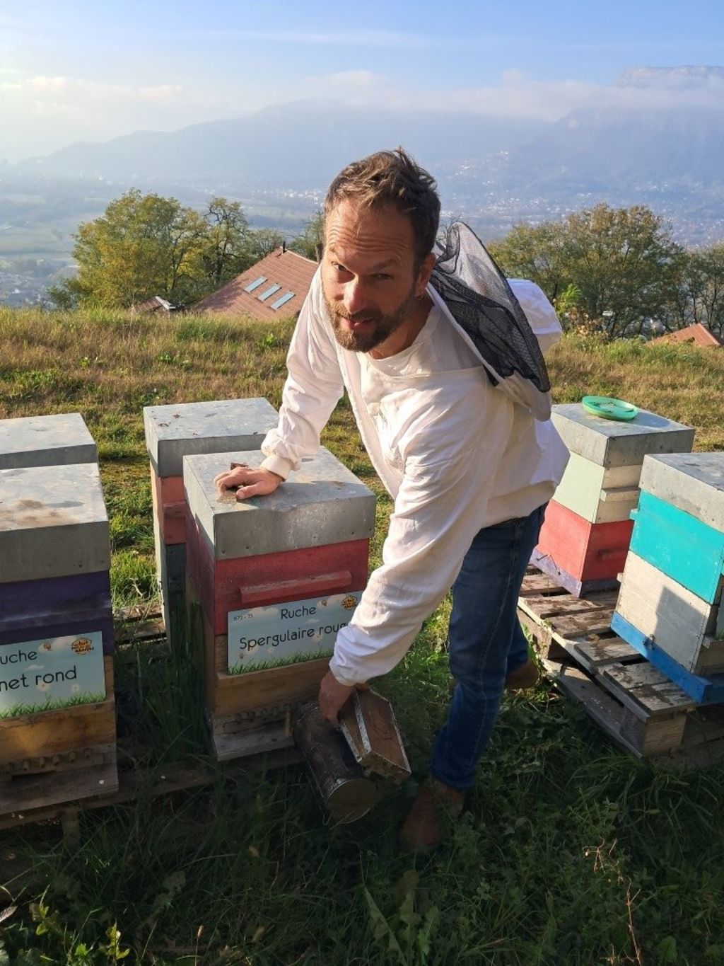 La ruche Spergulaire rouge