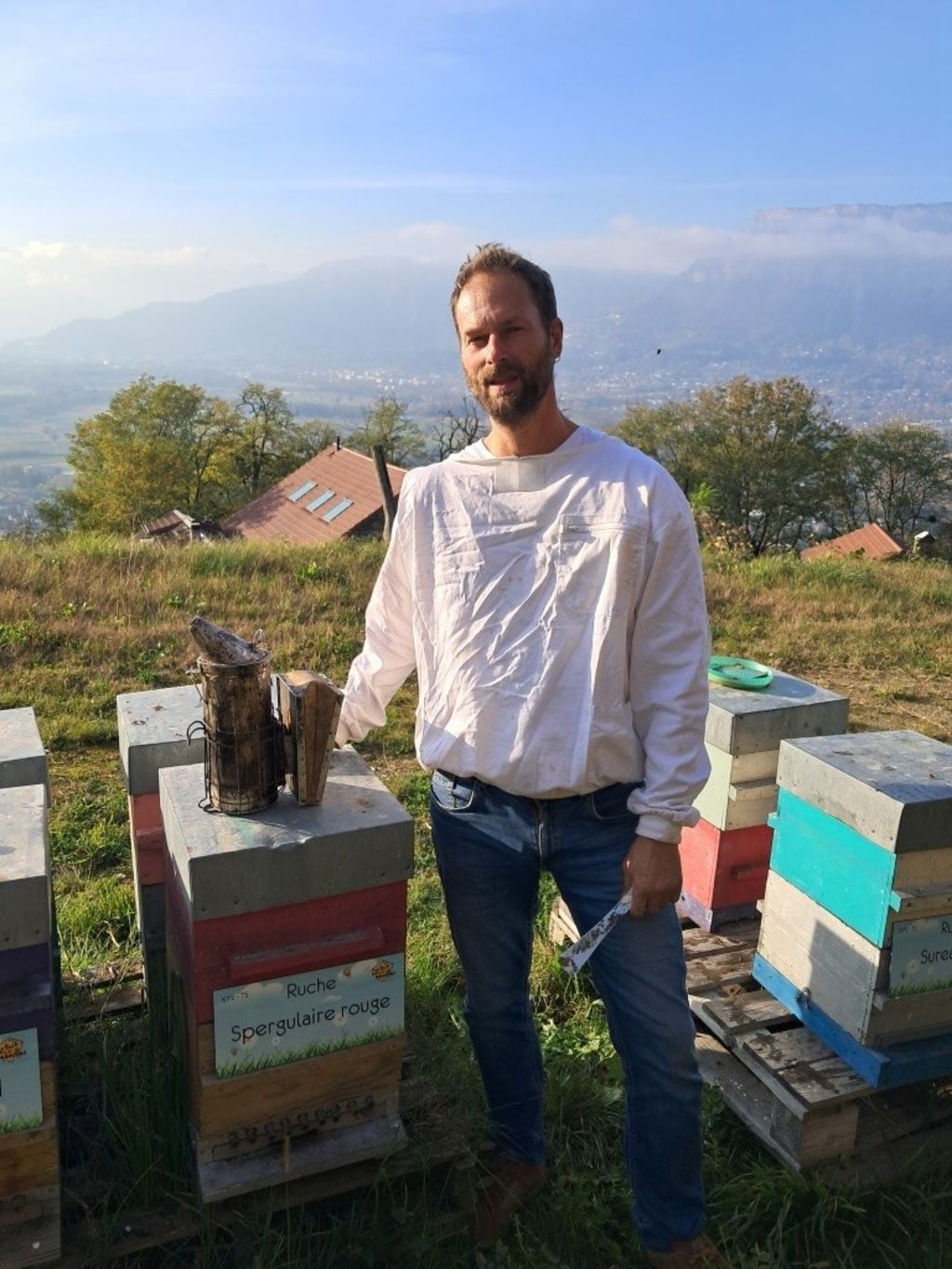 La ruche Spergulaire rouge