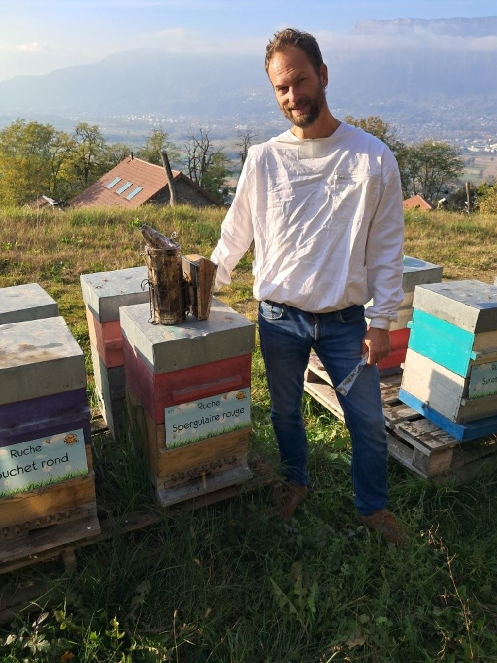 La ruche Spergulaire rouge