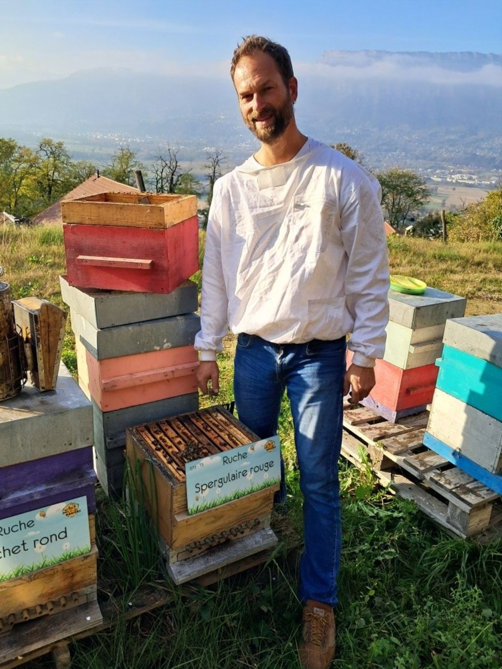 La ruche Spergulaire rouge