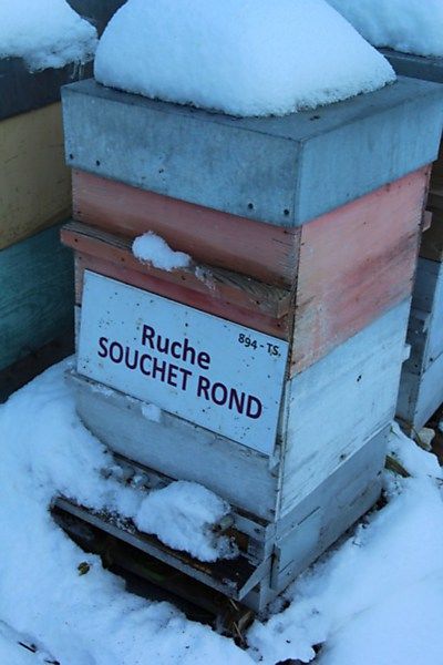 La ruche