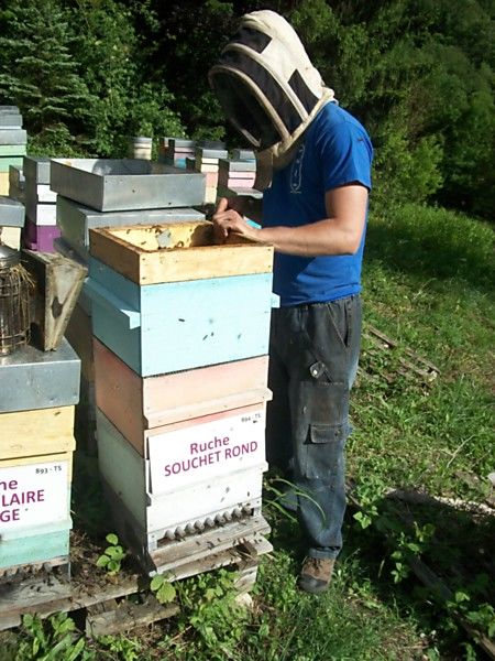 La ruche Souchet rond