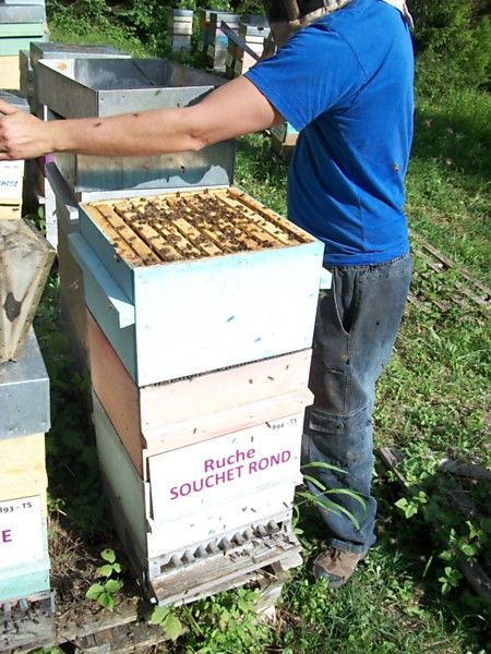 La ruche Souchet rond