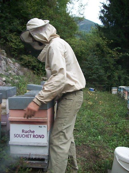 La ruche Souchet rond