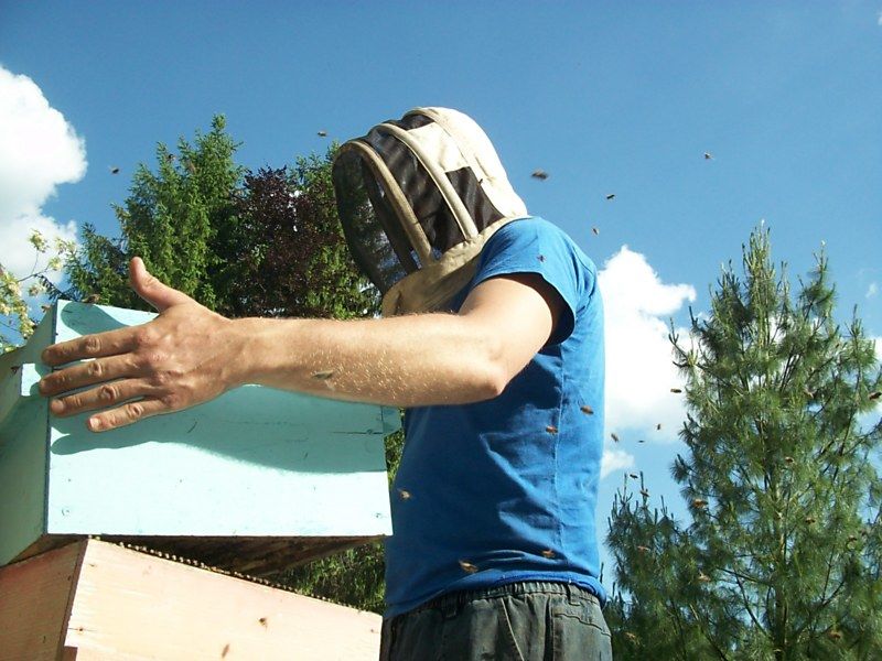 La ruche Souchet rond