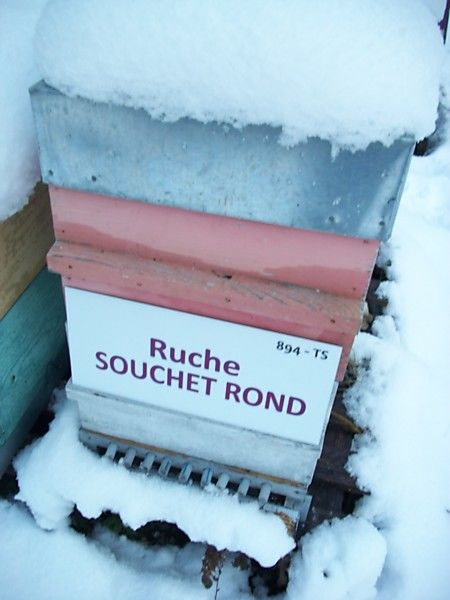 La ruche Souchet rond