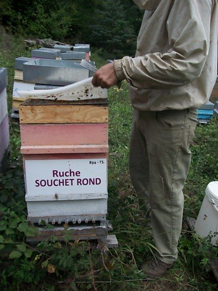 La ruche Souchet rond