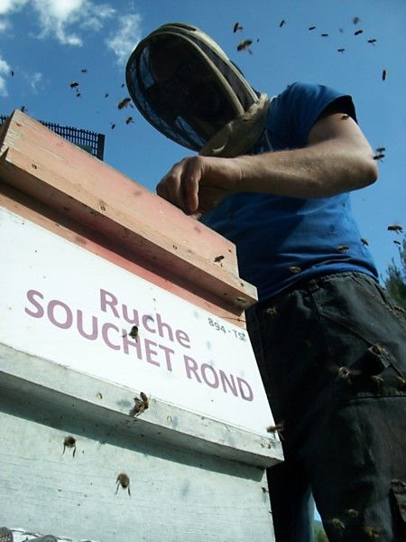 La ruche Souchet rond