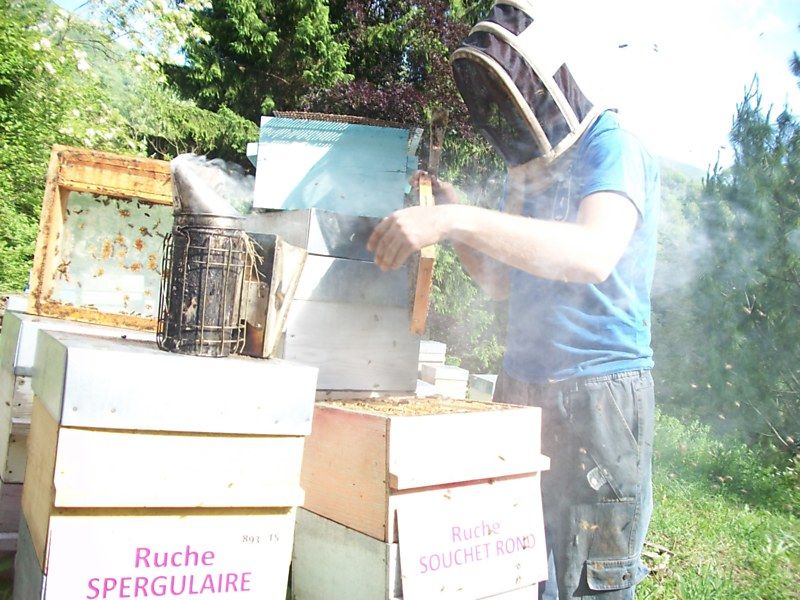 La ruche Souchet rond