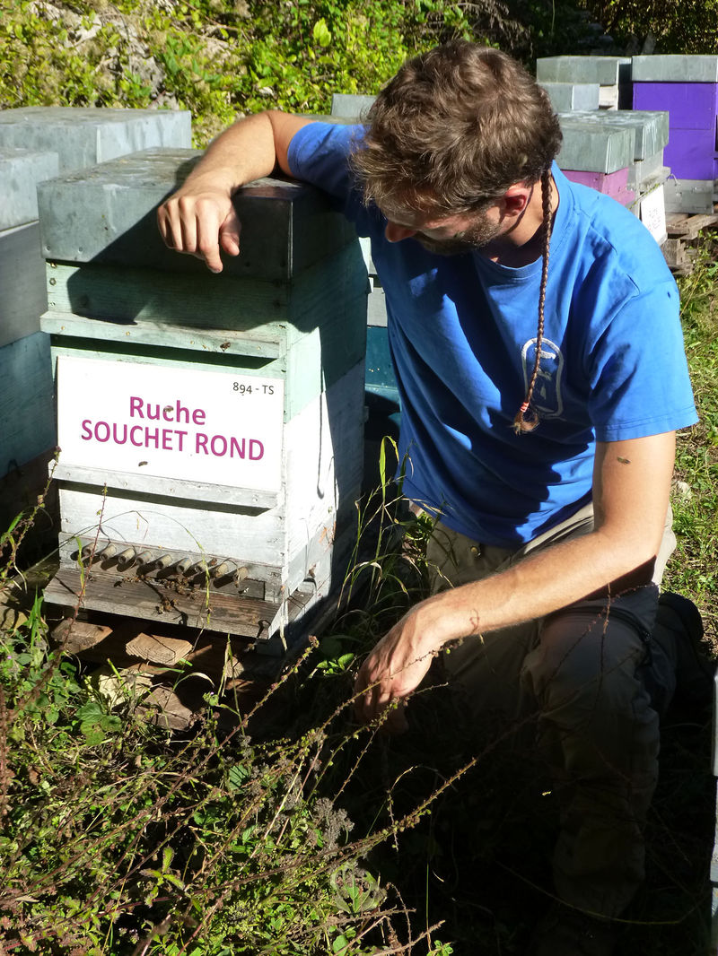 La ruche Souchet rond
