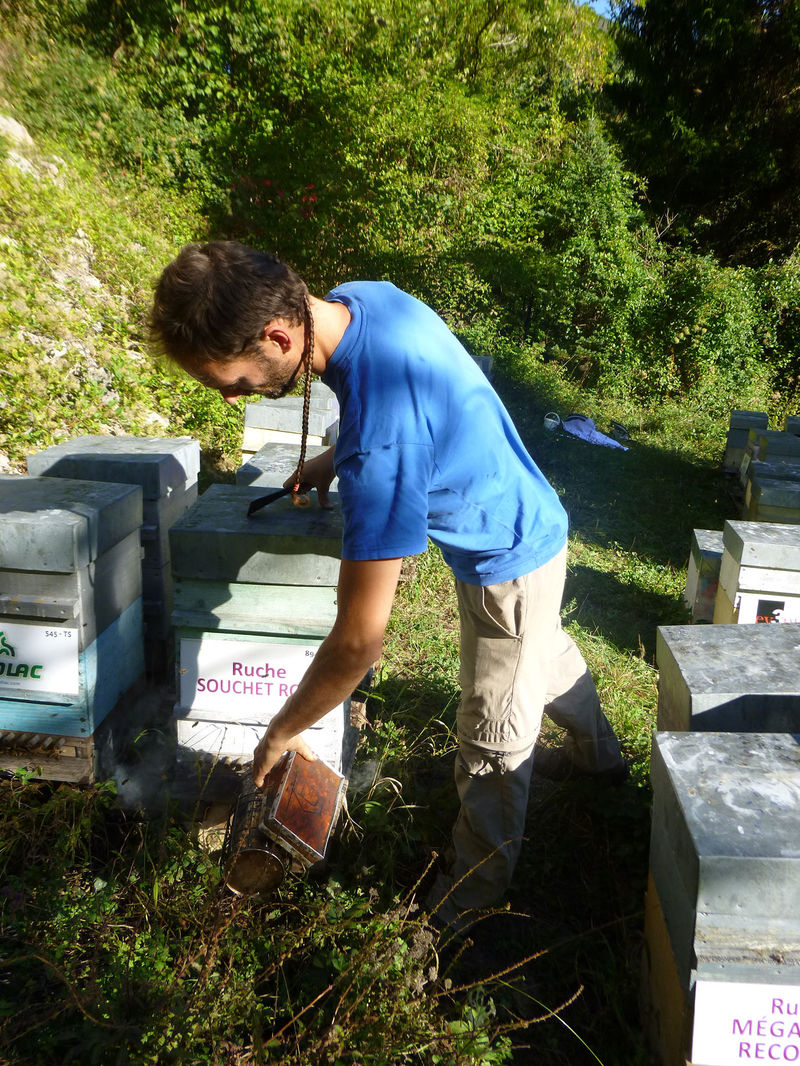 La ruche Souchet rond