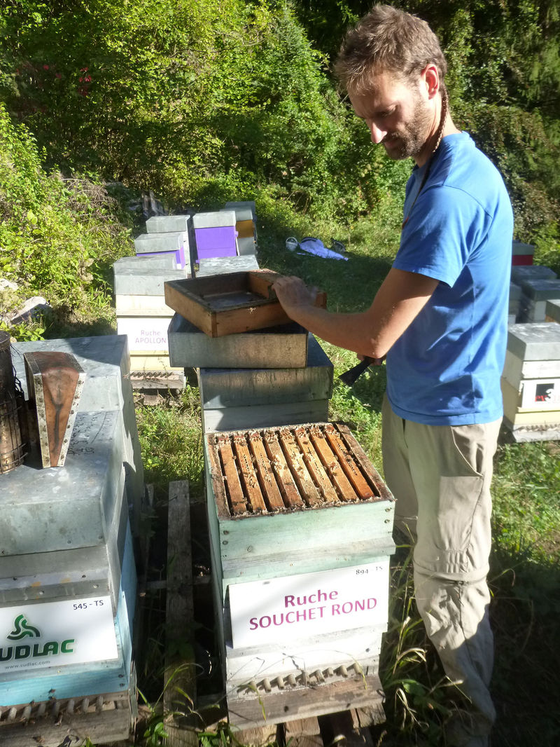 La ruche Souchet rond