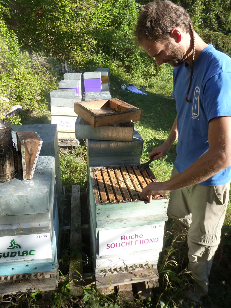 La ruche Souchet rond