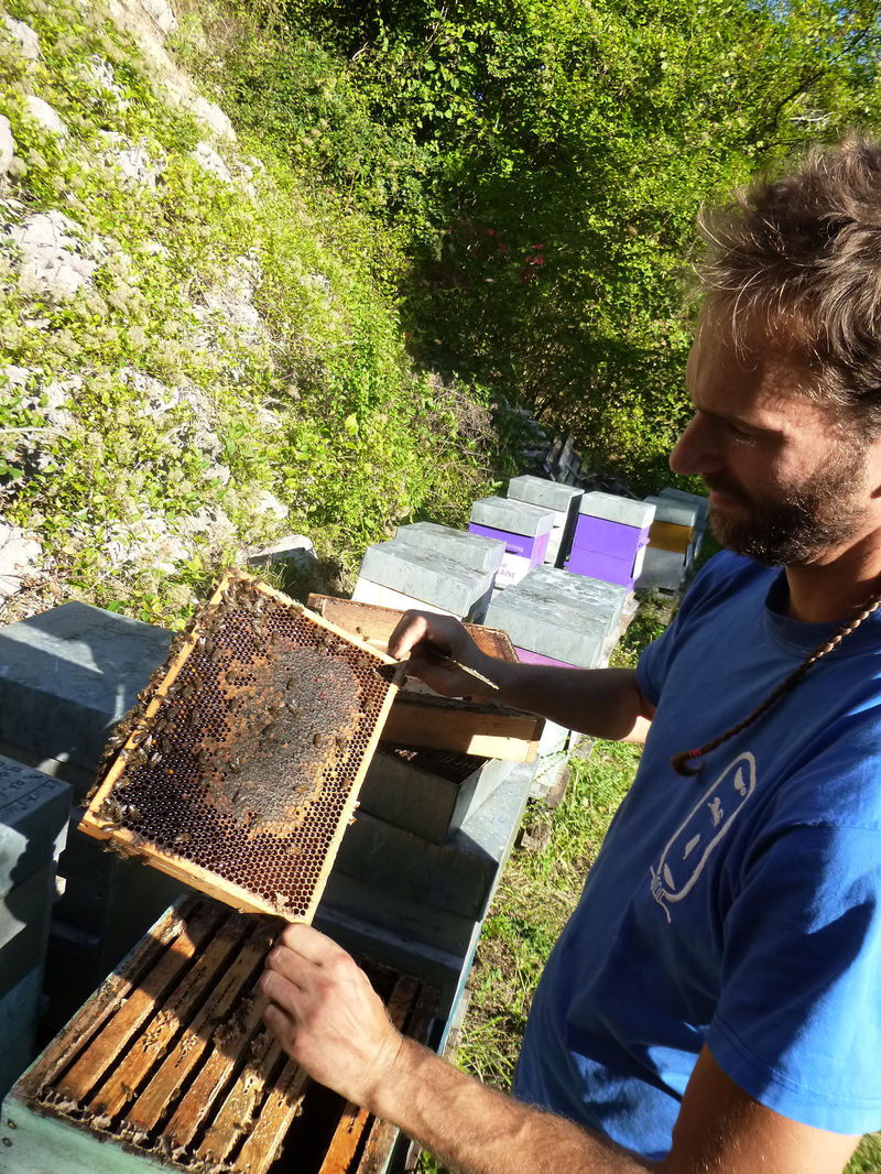 La ruche Souchet rond