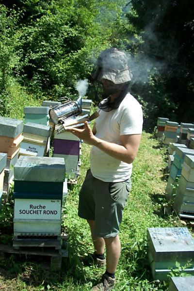 La ruche Souchet rond