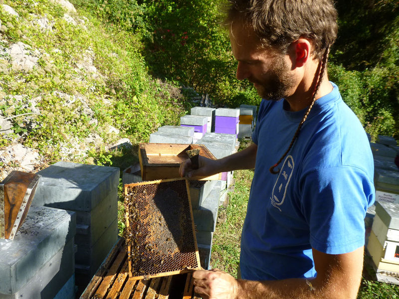 La ruche Souchet rond