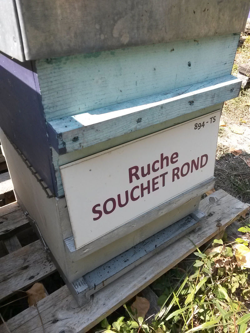 La ruche Souchet rond