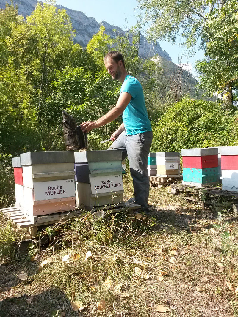 La ruche Souchet rond