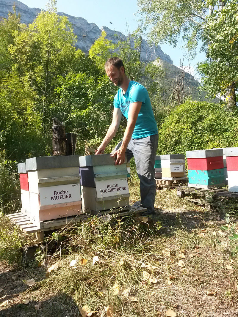La ruche Souchet rond