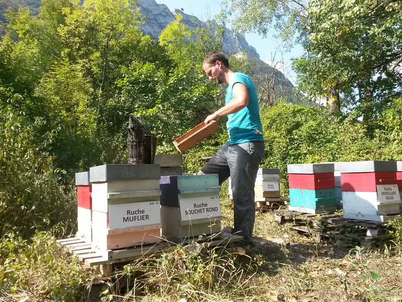 La ruche Souchet rond