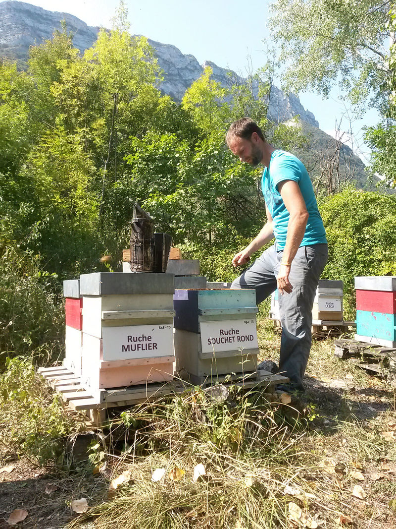La ruche Souchet rond