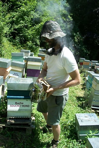 La ruche Souchet rond