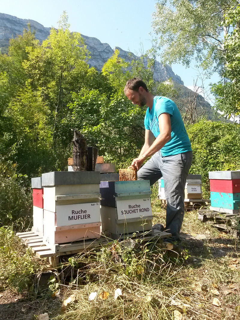 La ruche Souchet rond