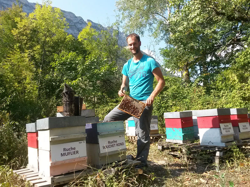 La ruche Souchet rond