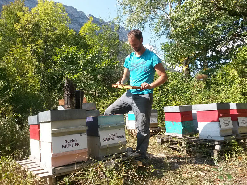 La ruche Souchet rond